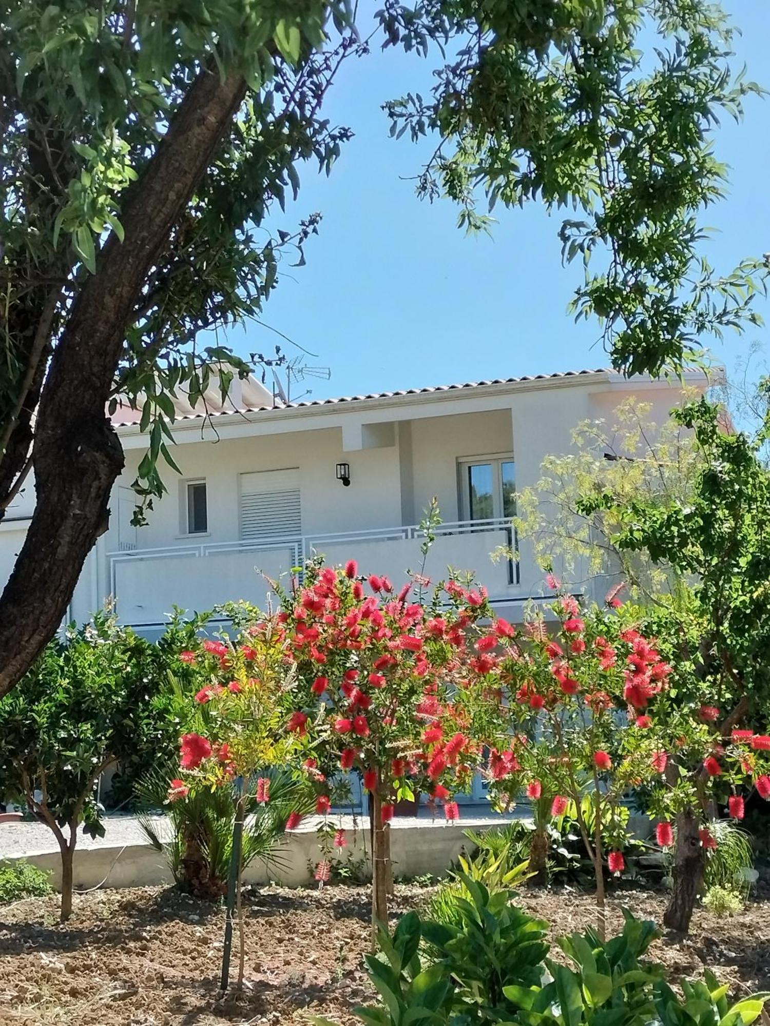 Casa Ferreri Hotel Santa Ninfa Ngoại thất bức ảnh